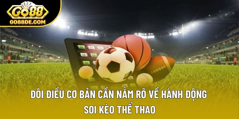Đôi điều cơ bản cần nắm rõ về hành động soi kèo thể thao