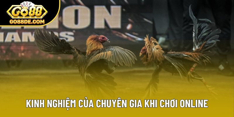 Kinh nghiệm của chuyên gia khi chơi online