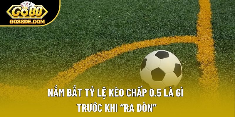 Nắm bắt tỷ lệ kèo chấp 0.5 là gì trước khi “ra đòn”