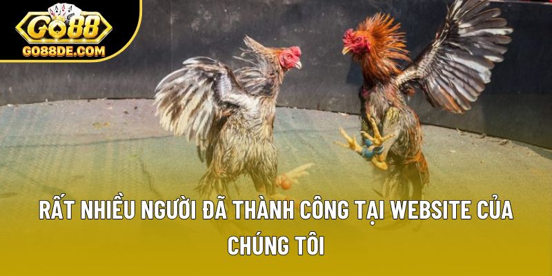 Rất nhiều người đã thành công tại website của chúng tôi