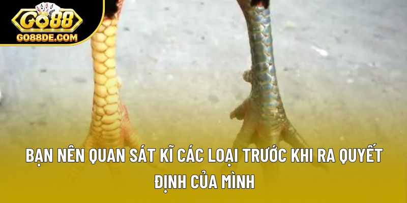 Bạn nên quan sát kĩ các loại trước khi ra quyết định của mình