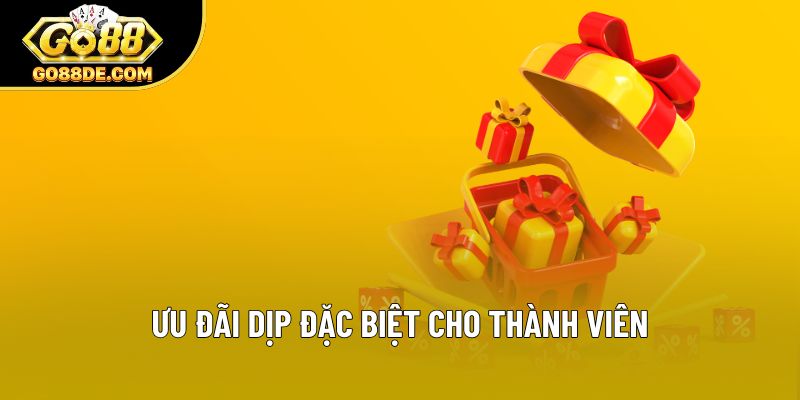 Ưu đãi dịp đặc biệt cho thành viên