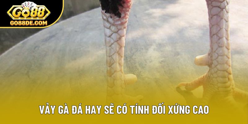Vảy gà đá hay sẽ có tính đối xứng cao