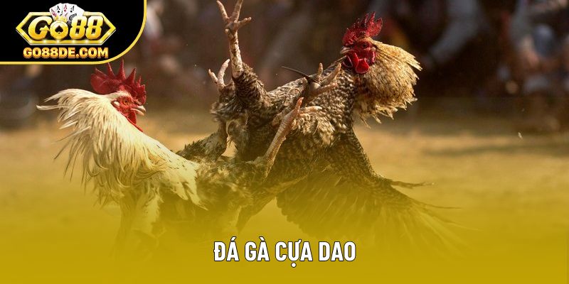Đá Gà Cựa Dao - Thế Giới Đầy Kịch Tính Tại GO88