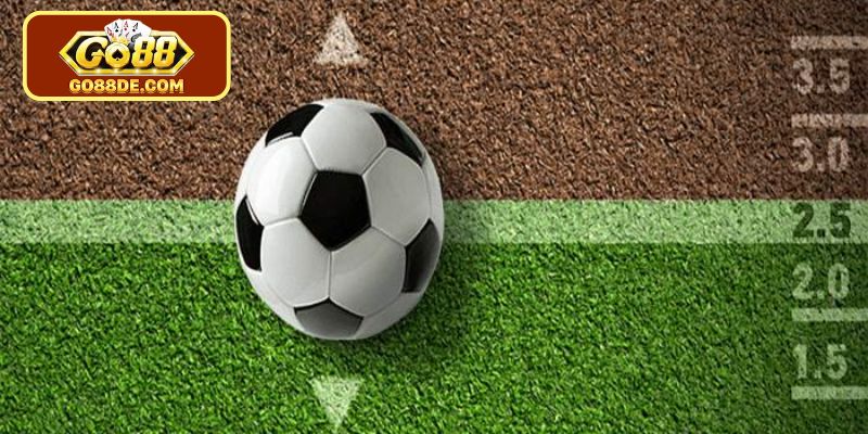 Phương pháp xác định lợi nhuận trong cá cược